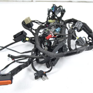 Impianto elettrico CFMoto 700 CL-X Heritage