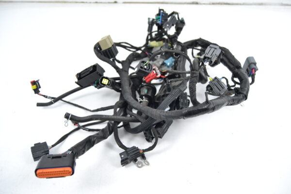 Impianto elettrico CFMoto 700 CL-X Heritage